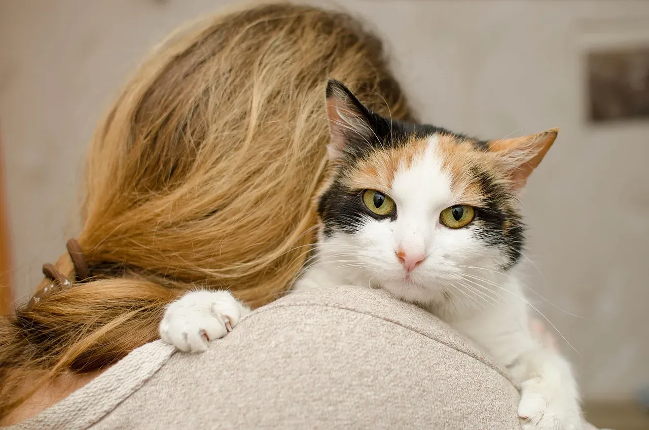7. When Your Cat Detected Your Emotional State Before You Even Admitted It to Yourself (Image Credits: Pixabay)