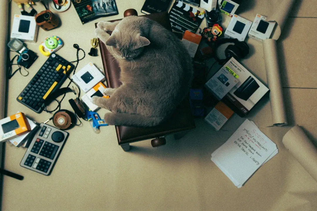 Virgo: When Perfectionism Meets Feline Chaos (Image Credits: Unsplash)