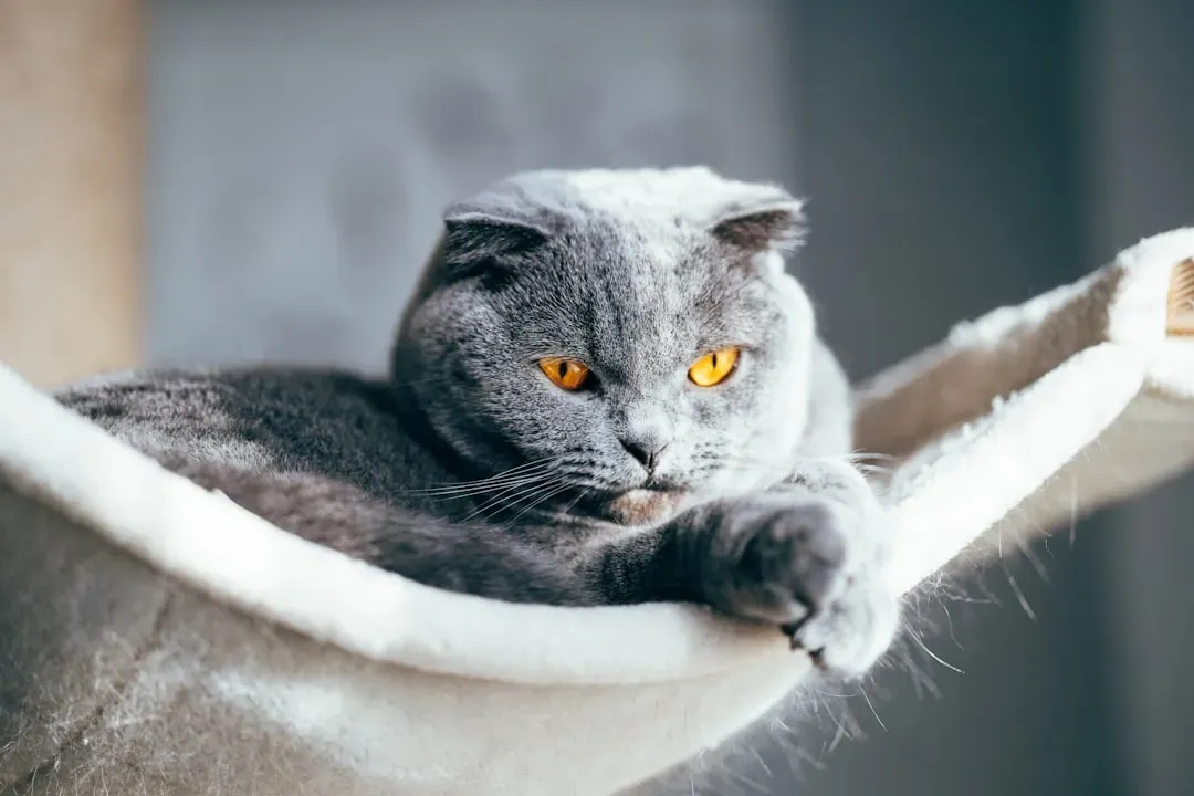 The Projection Trap (Image Credits: Unsplash)