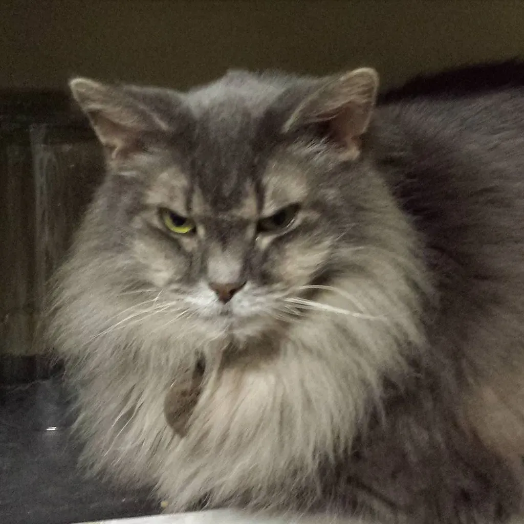 The Dramatic Exit Strategy (Image Credits: Flickr)