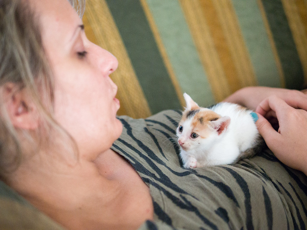 You Experience Comfort Through Physical Presence (Image Credits: Flickr)