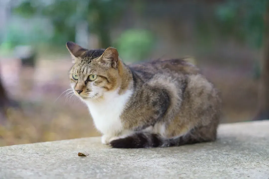 Tiny Things You'd Never Notice Are Front and Center (Image Credits: Unsplash)