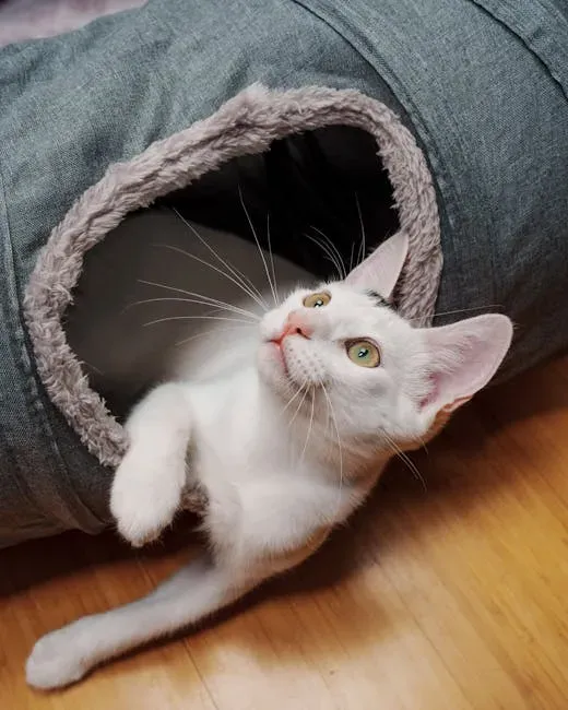 8. Cat Tunnel Beds: Play and Nap All in One (Image Credits: Pexels)
