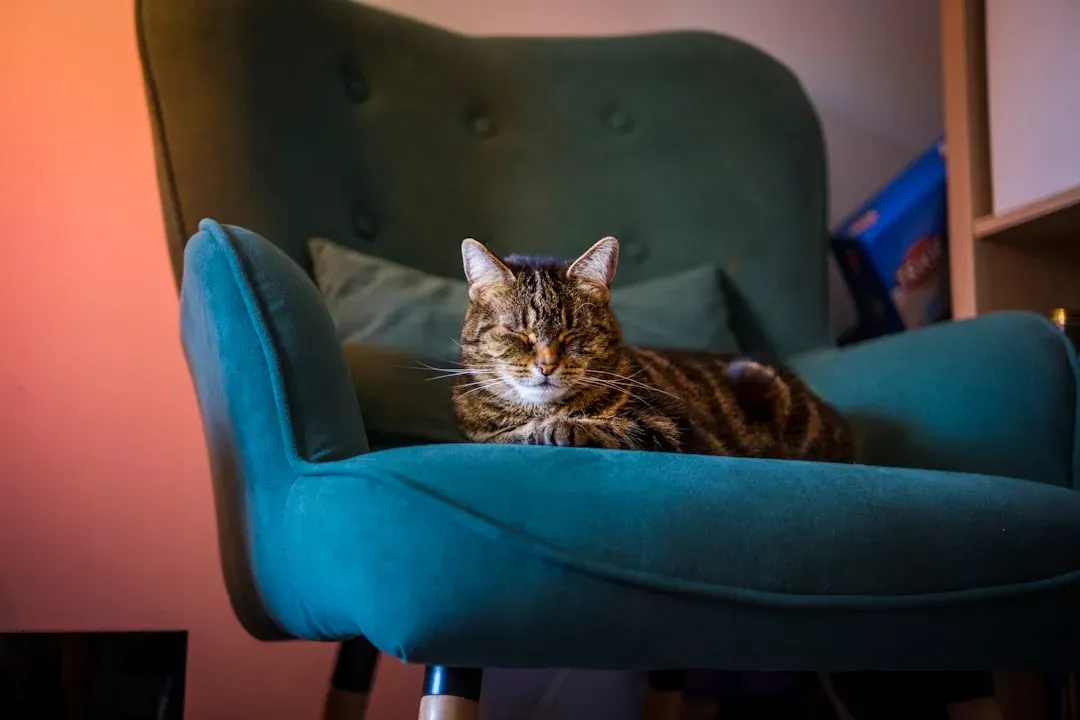 Conclusion: You Don't Own These Things. You Never Did. (Image Credits: Unsplash)