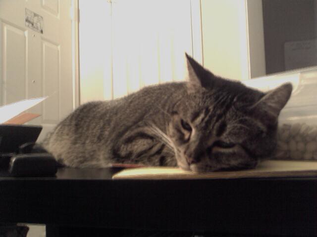 Health and Medical Influences (Image Credits: Flickr)