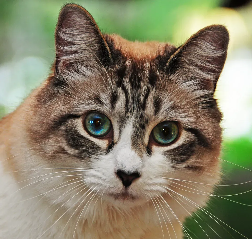 Conclusion (Image Credits: Flickr)