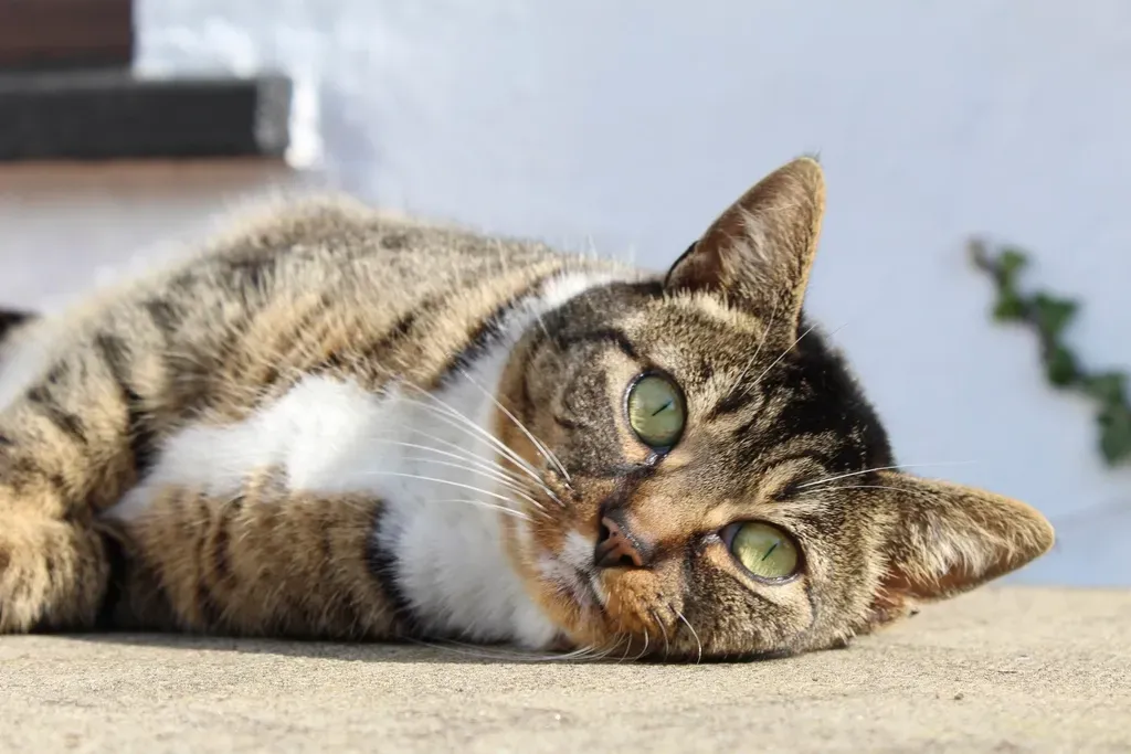 It Could Be About Feeling Safe at Home (Image Credits: Rawpixel)