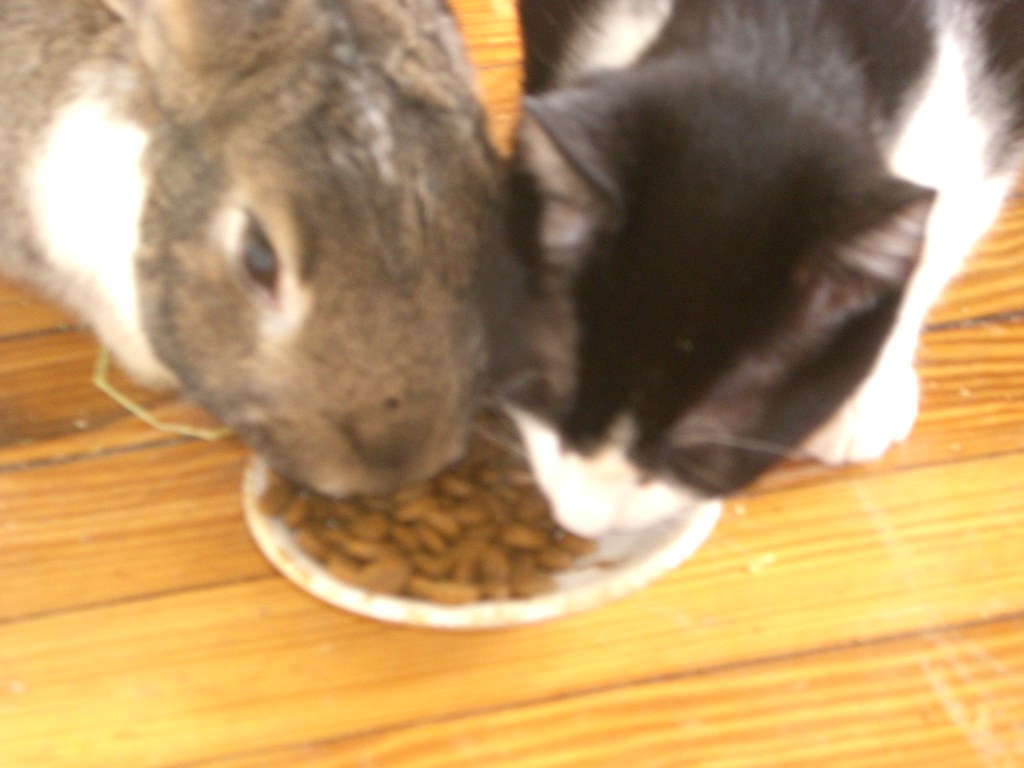 Maintain Predictable Daily Schedules (Image Credits: Flickr)