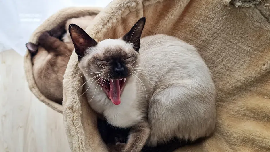 1. Siamese: The Original Chatterbox (Image Credits: Pexels)