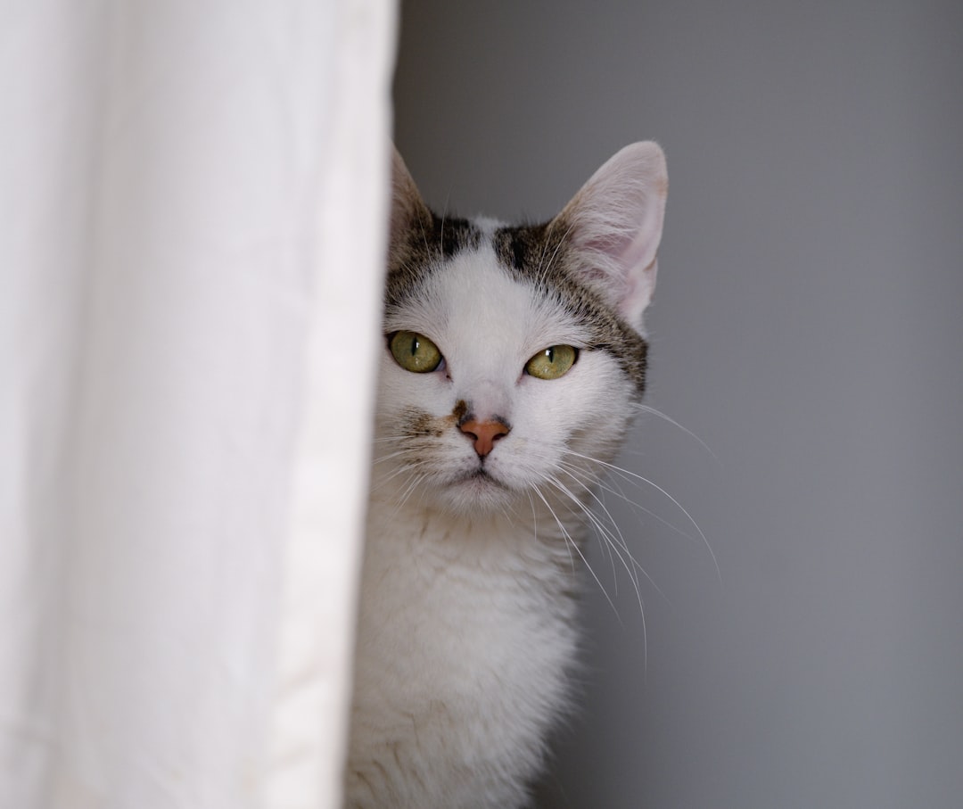 Sound Localization Precision (Image Credits: Unsplash)