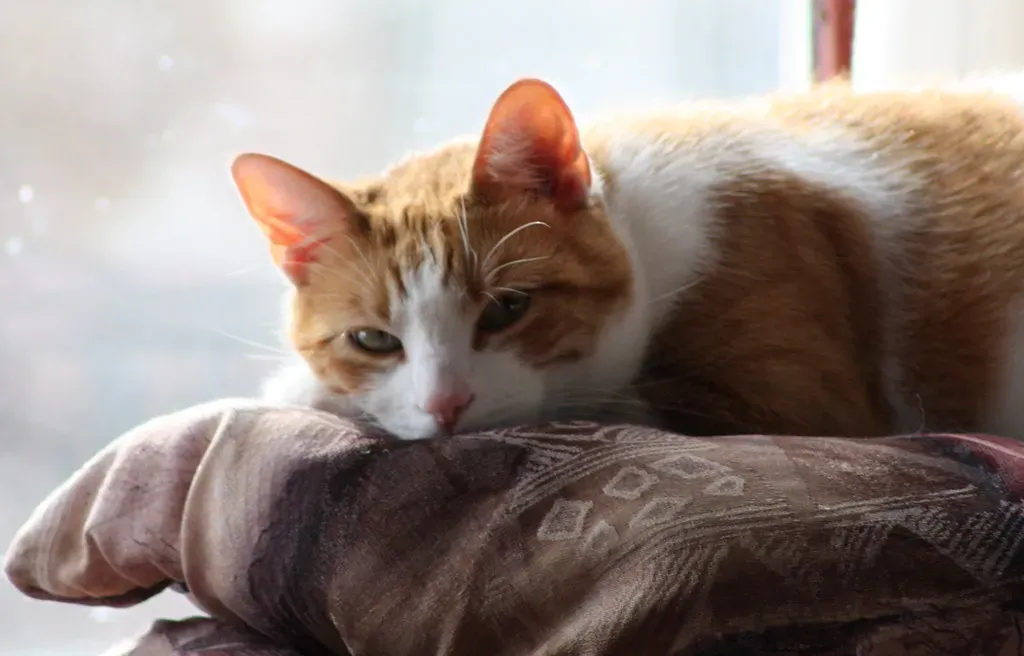 Your Stress Response Actually Changes (Mike Bowler, Flickr, CC BY 2.0)