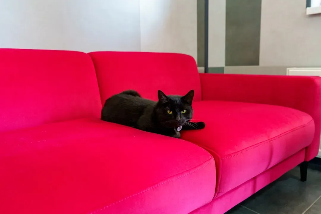 The Height Hierarchy: Does Your Furniture Give Enough Vertical Respect? (Image Credits: Unsplash)