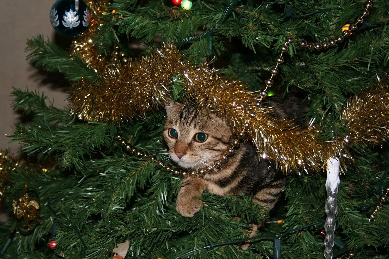 #10 Holiday decorations, especially tinsel (Image Credits: Pixabay)
