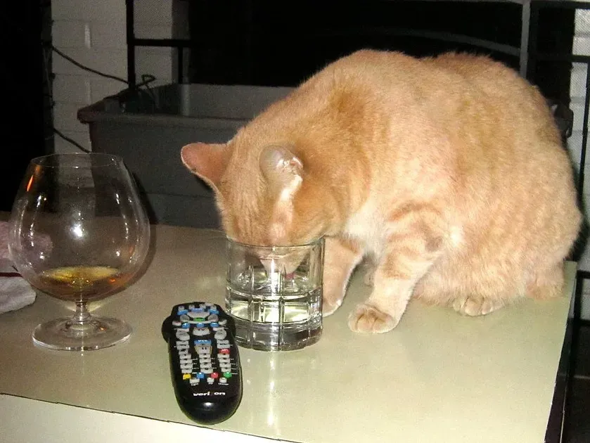 When It Could Signal Something More Serious (Image Credits: Flickr)