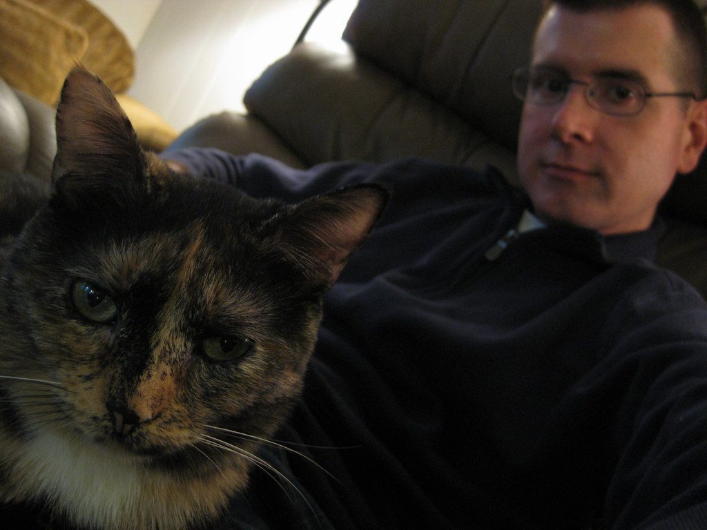 The Perfect Match: Older Cats for Older Adults (Image Credits: Flickr)