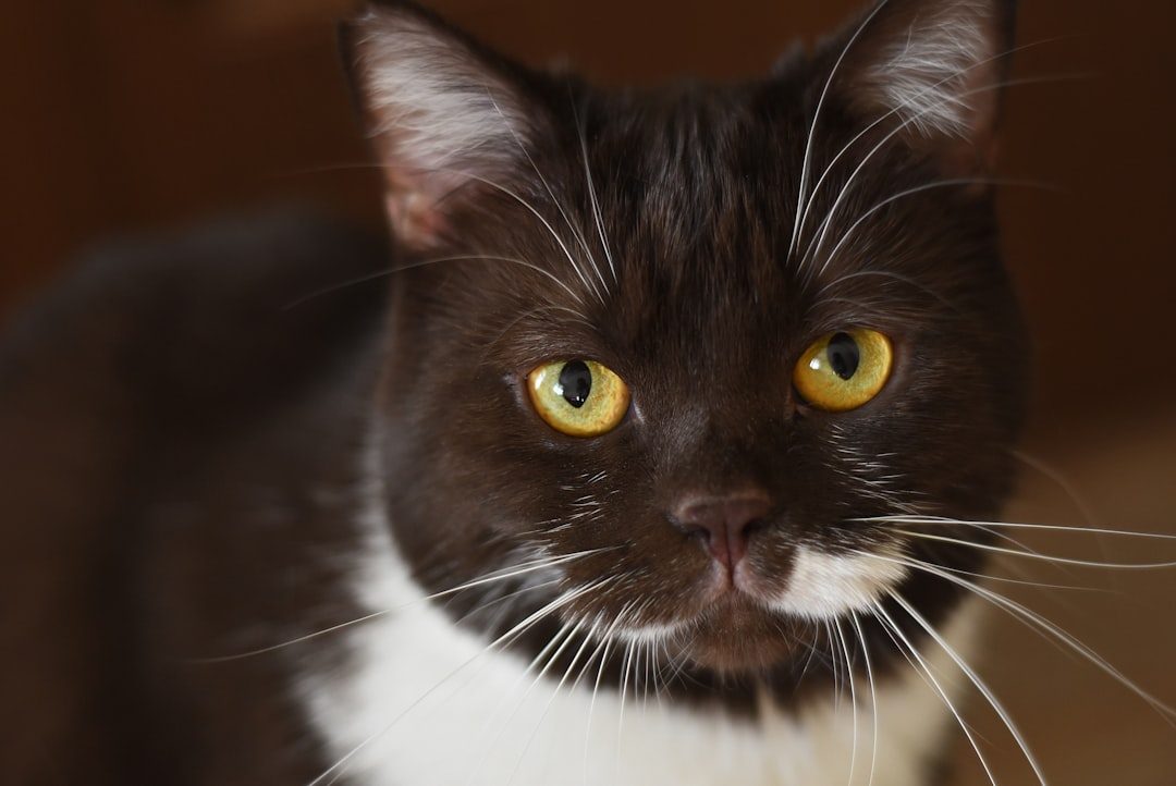 Conclusion (Image Credits: Unsplash)