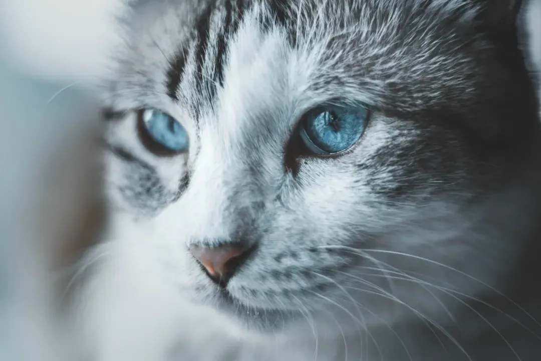 Their Brain Is Shockingly Similar to Yours (Image Credits: Unsplash)