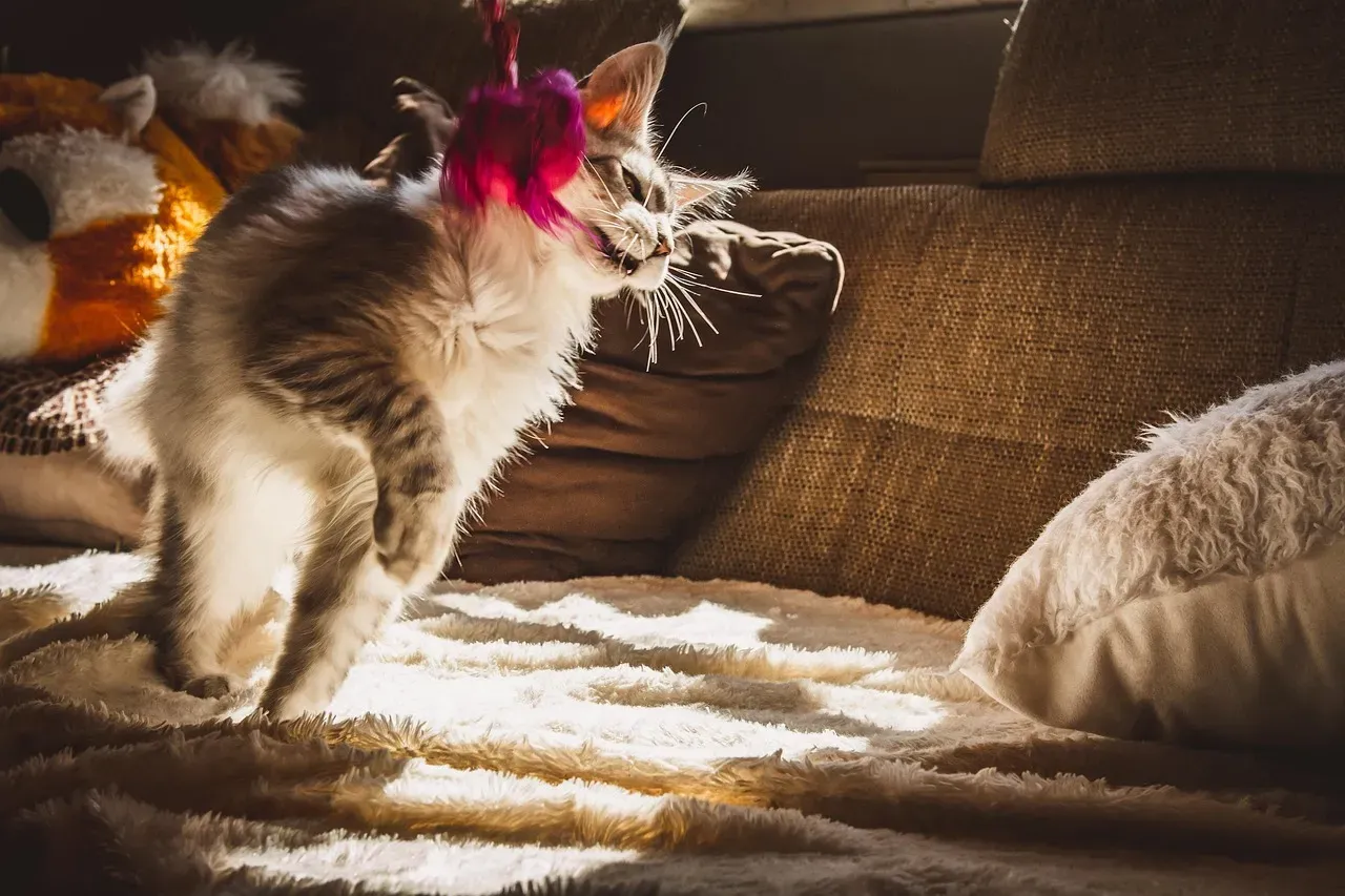 5. Real Interactive Hunting Play, Not Just Passive Toys (Image Credits: Pixabay)