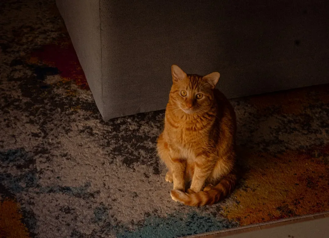 Sitting Directly in Front of Your Art (Image Credits: Unsplash)