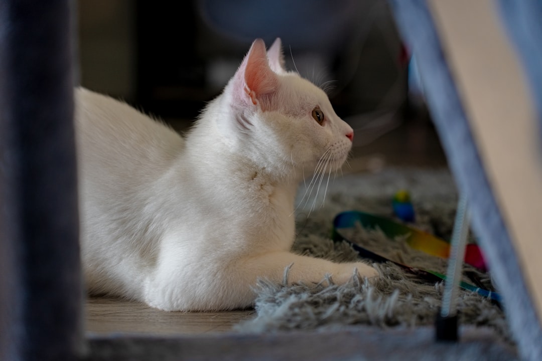 The Immediate Recognition of Your Departure (Image Credits: Unsplash)