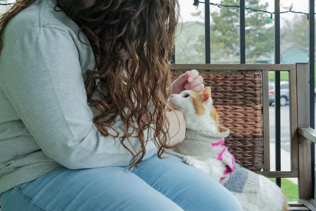 Your Cat Could Be Seeking Warmth and Comfort (Image Credits: Unsplash)