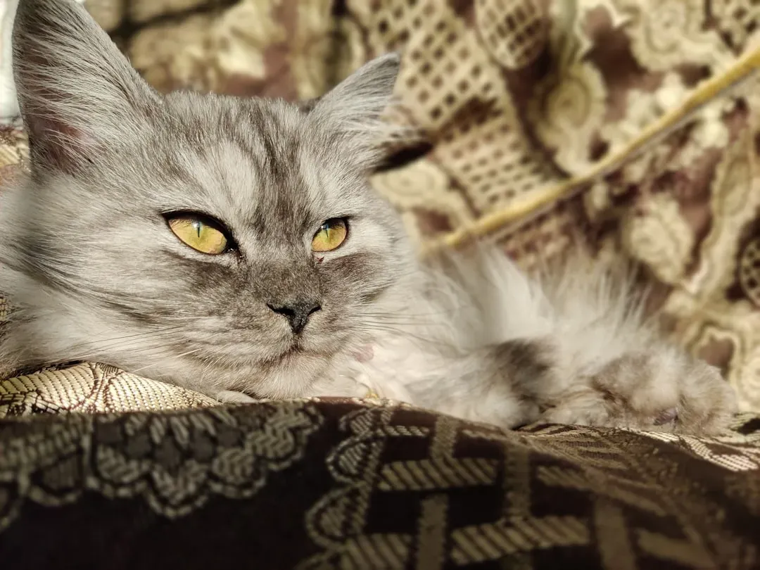 Pisces: The Dreamer's Gentle Spirit (Image Credits: Unsplash)