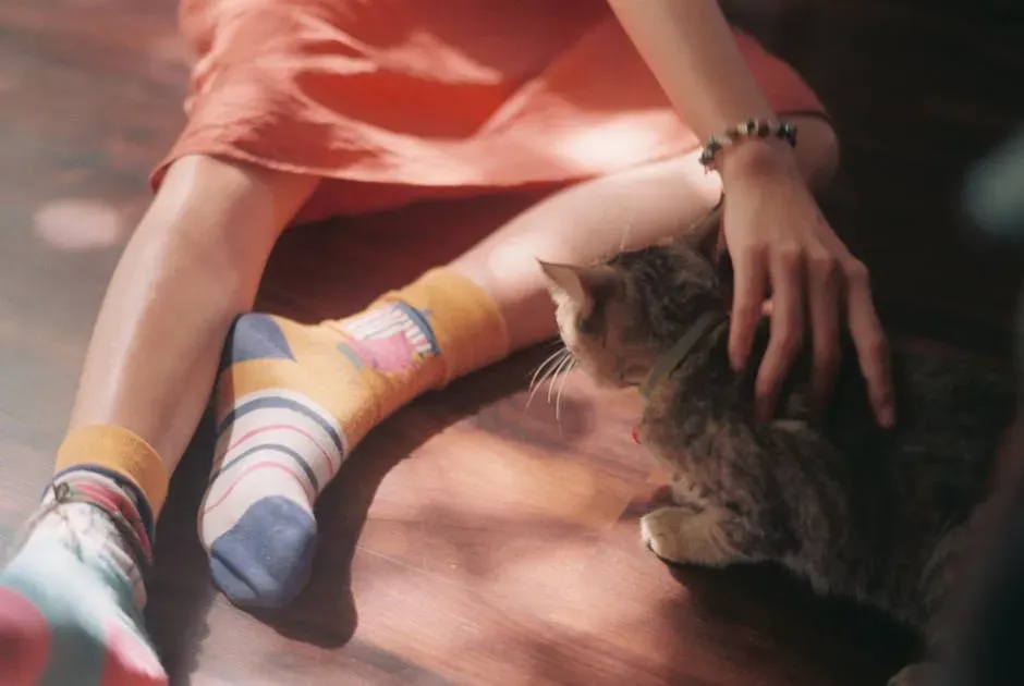 6. Old Socks and Worn Clothing: Scent as Comfort (Image Credits: Pexels)