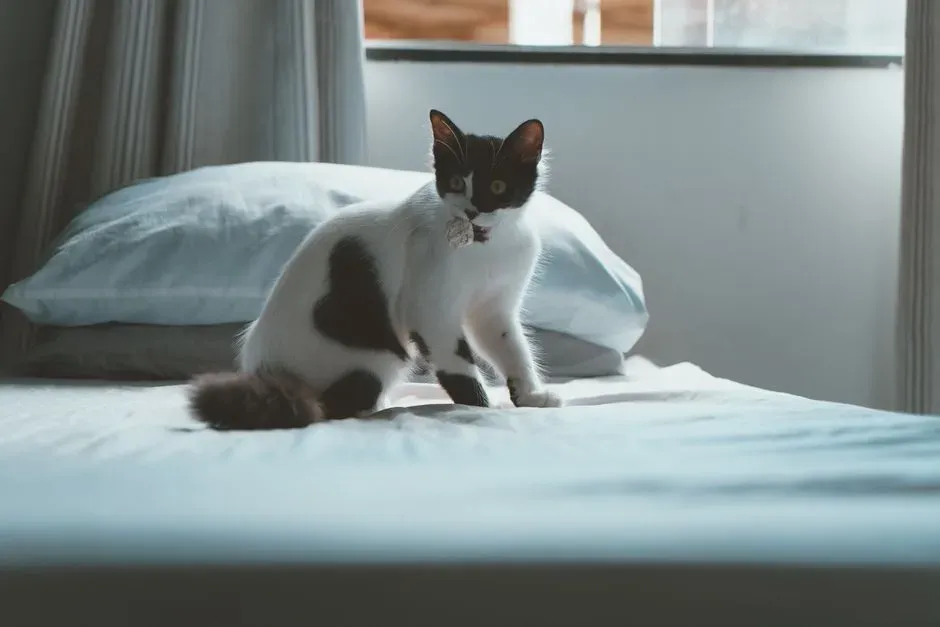 #2 - The Odd Little "Reposition Dance" (Image Credits: Pexels)