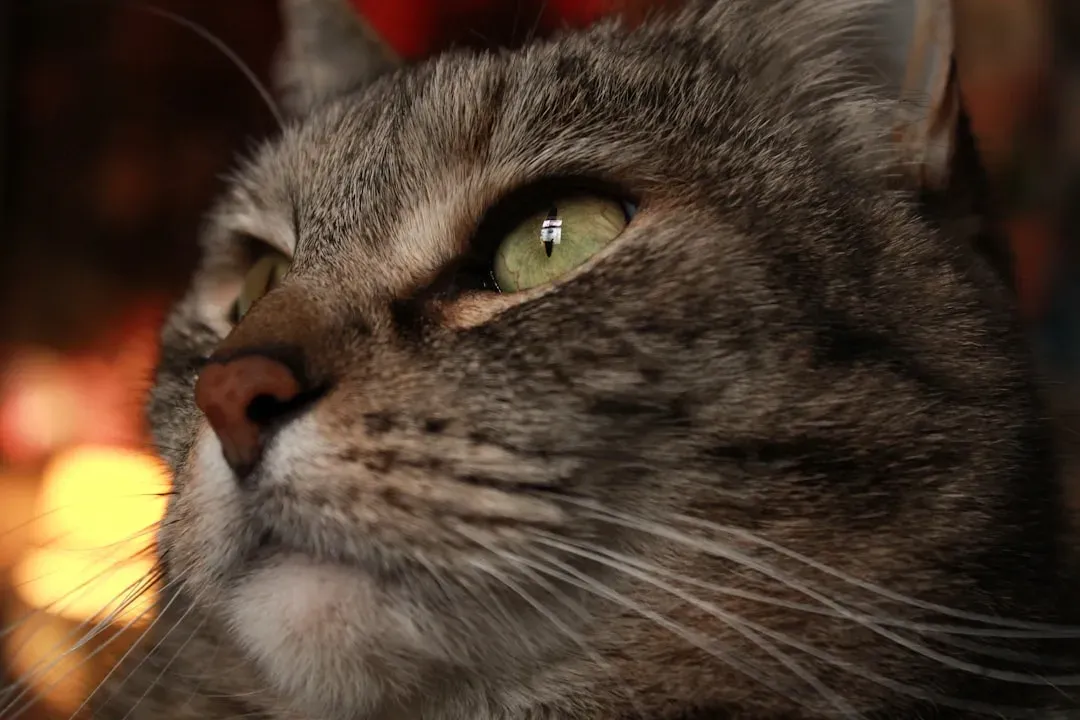 The Mechanics Behind That Rumbling Sound (Image Credits: Unsplash)