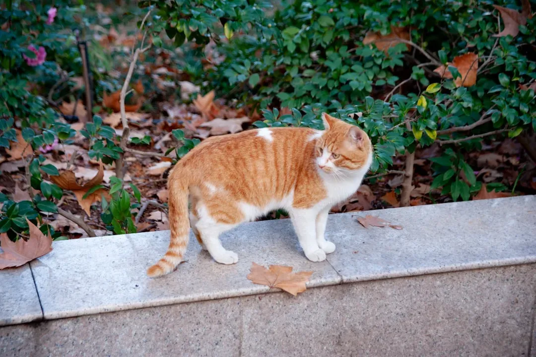 The Role of Domestication and Selection (Image Credits: Unsplash)