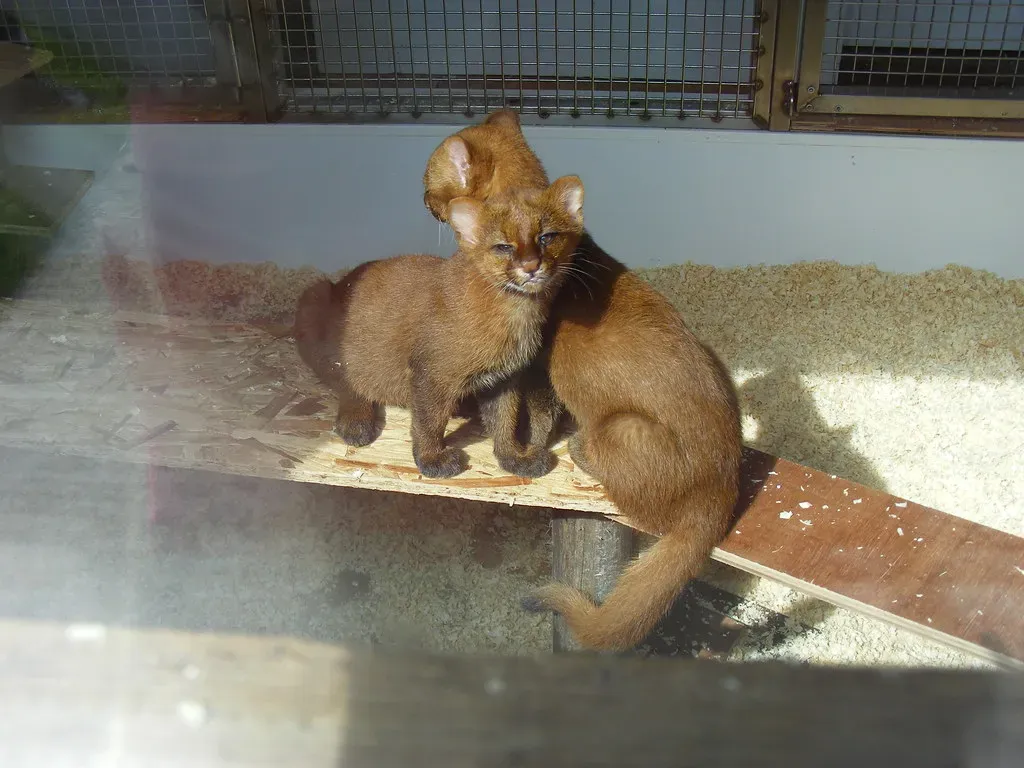 Conclusion (Image Credits: Flickr)