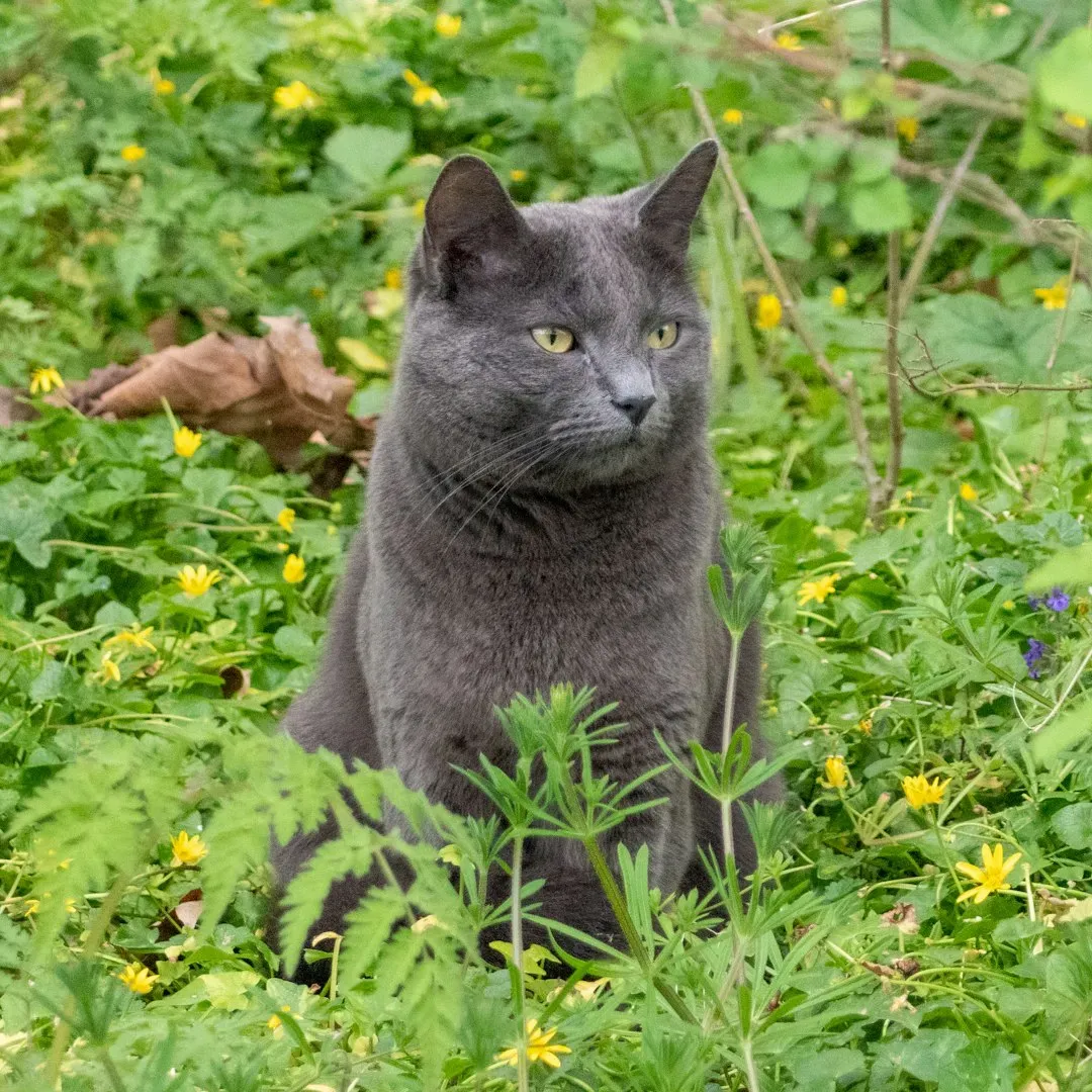 You Build Better Social Connections (Image Credits: Unsplash)