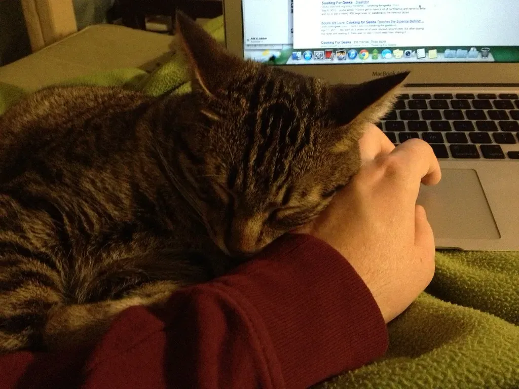 #7 - Head Resting Against You, Not on You (Phil Denton, Flickr, CC BY-SA 2.0)