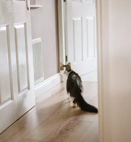 The doorway pause is an old survival habit in a modern setting (Image Credits: Pexels)