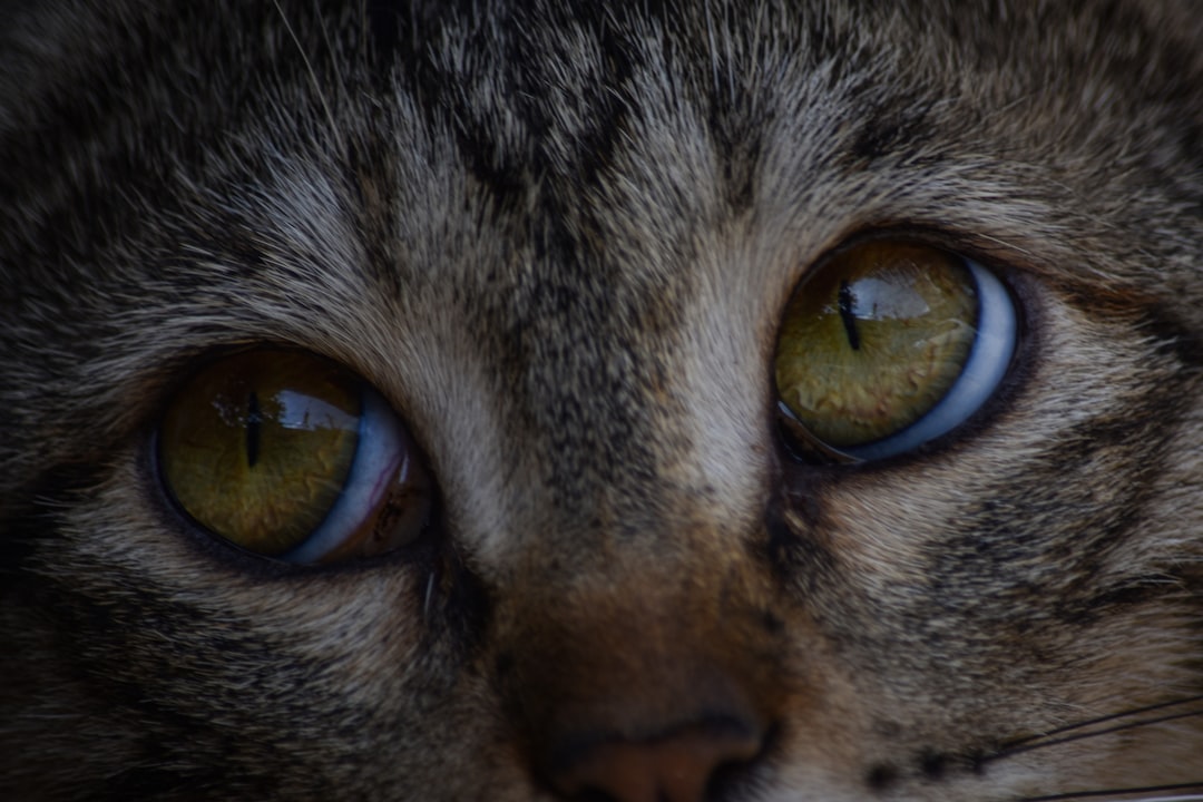 Intuition and Psychic Awareness (Image Credits: Unsplash)