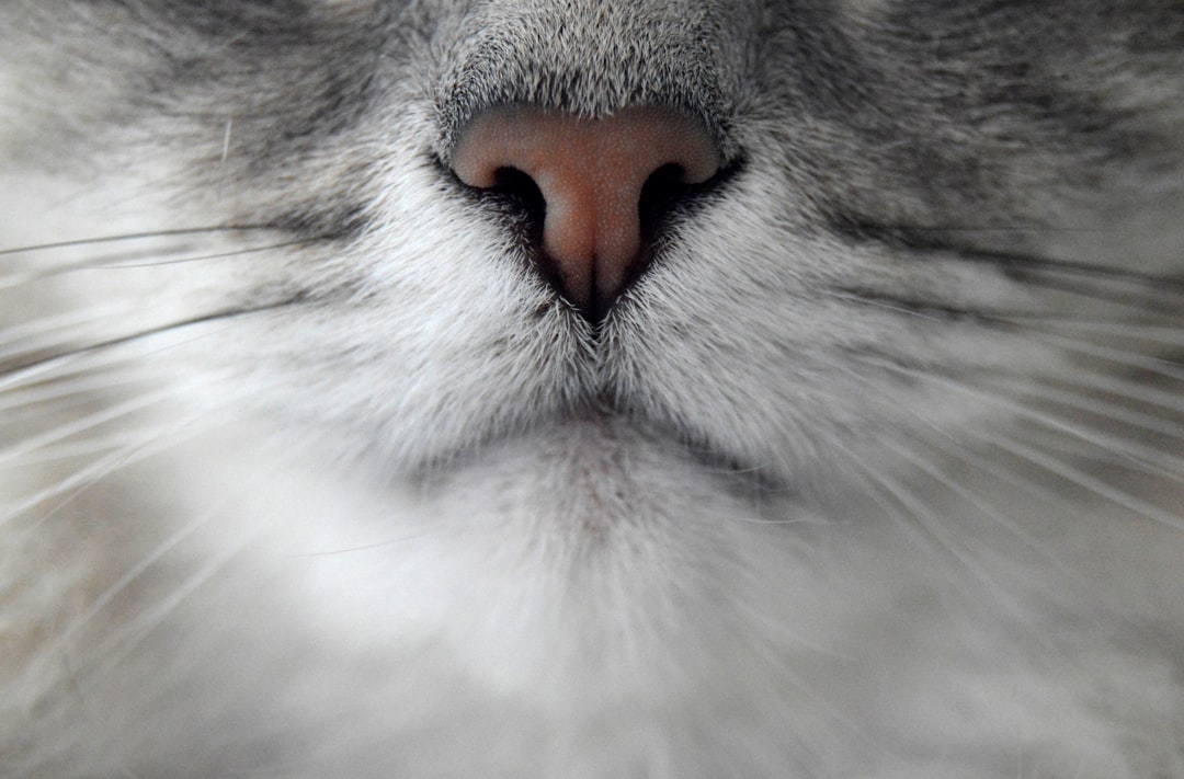 The Power of Scent Detection (Image Credits: Unsplash)