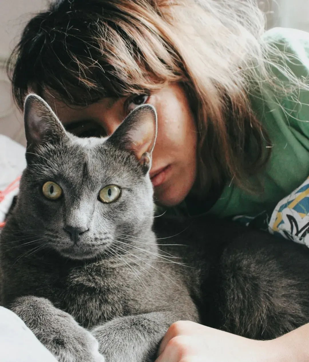 Your Cat May Be Aging and Seeking More Security (Image Credits: Unsplash)