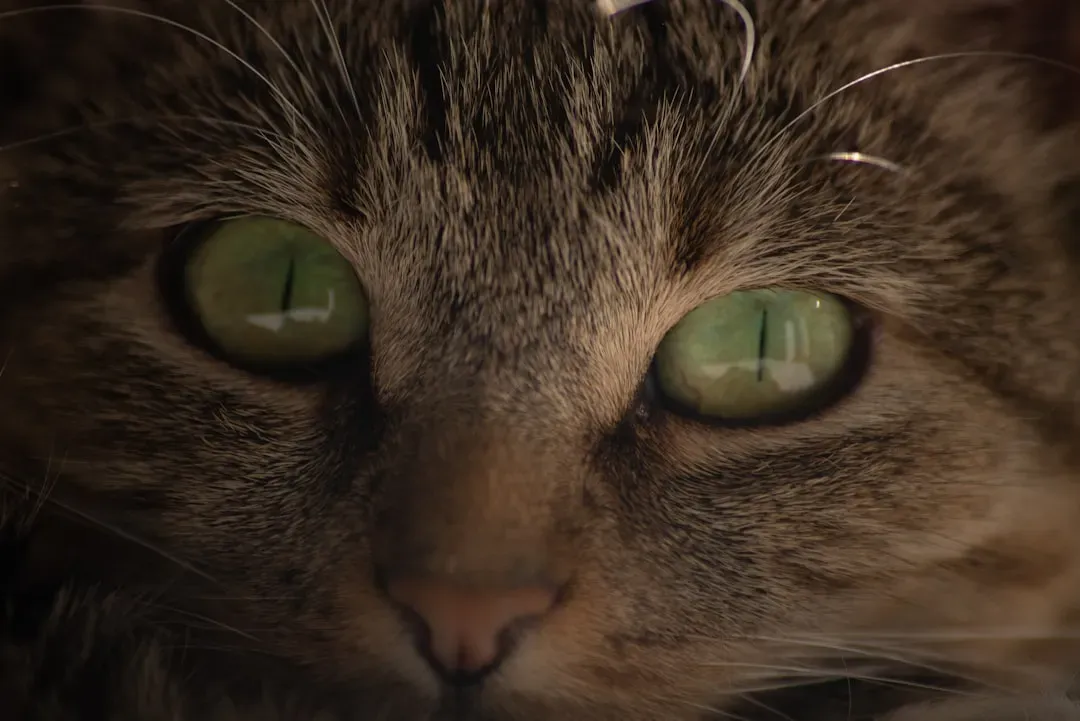 When Blinking Points to a Health Issue Instead (Image Credits: Unsplash)