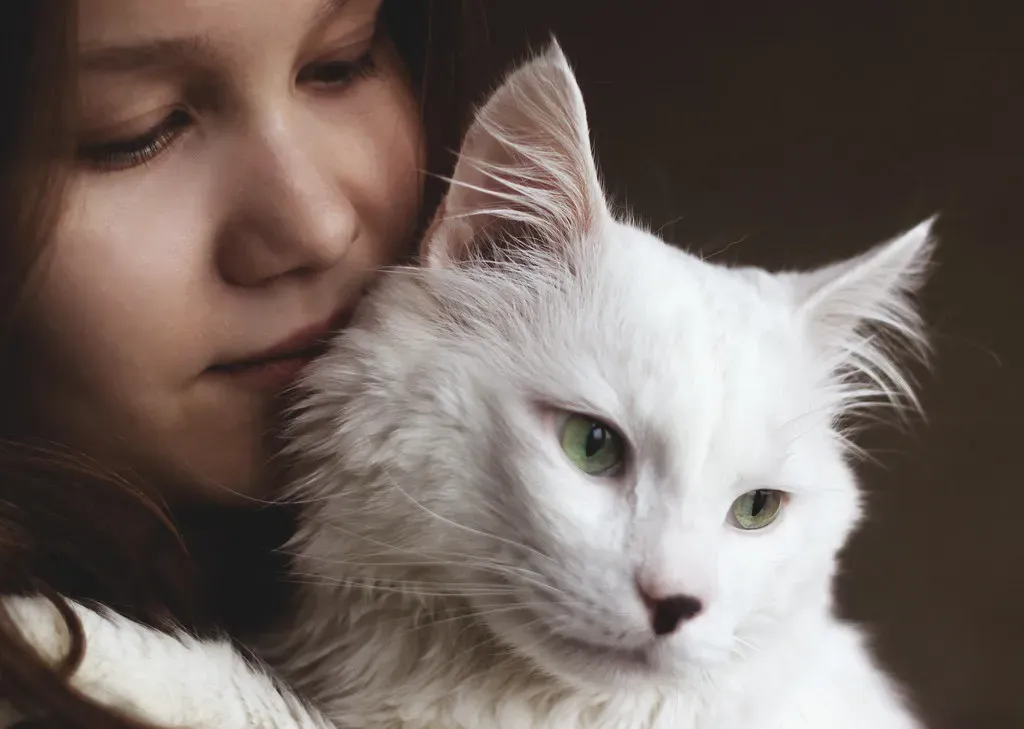 Emotional States Get Absorbed Like Sponges (Image Credits: Flickr)