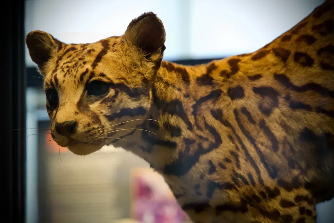 Conclusion (Image Credits: Unsplash)