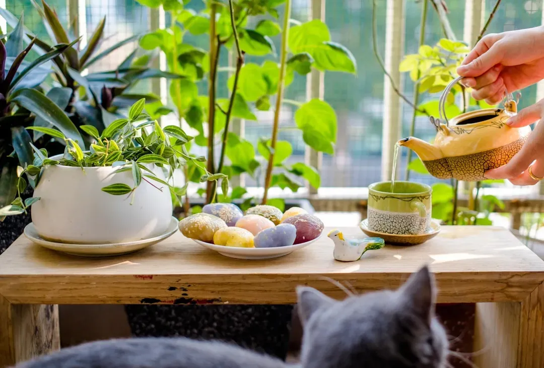 Final Thoughts: Beautiful Homes and Safe Cats Can Coexist (Image Credits: Unsplash)