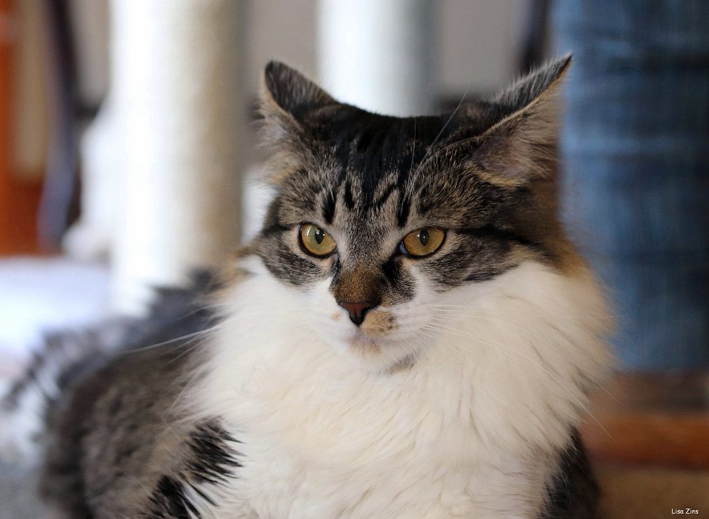 Training at the Wrong Times (Image Credits: Flickr)