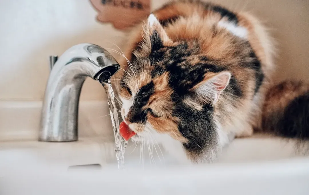 Hyperthyroidism and the Overactive Water Drinker (Image Credits: Unsplash)