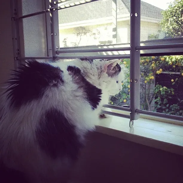 Pure Entertainment and the Joy of the Unknown (Image Credits: Flickr)