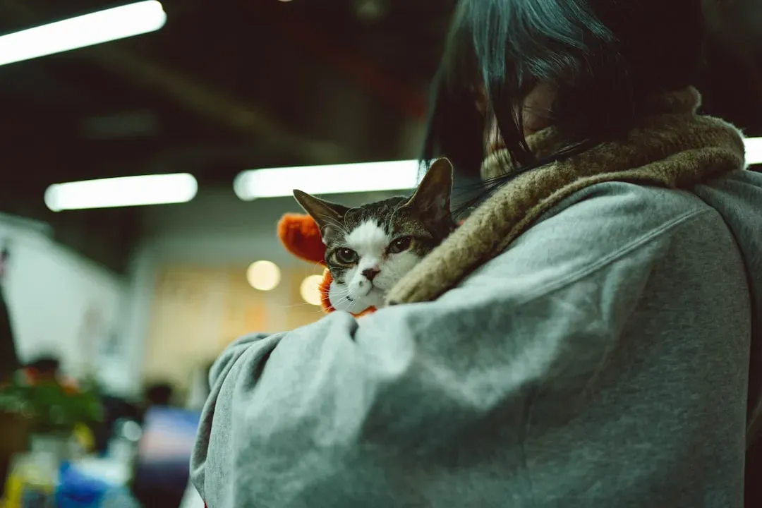 You're Their Safety Perch During Scary Moments (Image Credits: Unsplash)