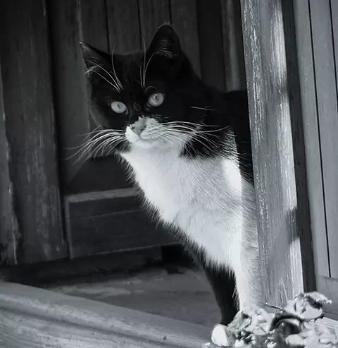 The Comfort of Routine and Predictability (Image Credits: Flickr)