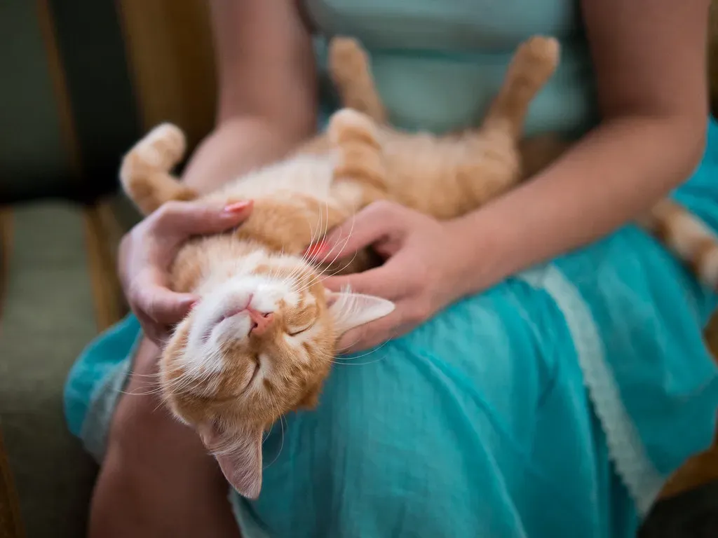 9. The Gender-Specific Training Program (Image Credits: Flickr)