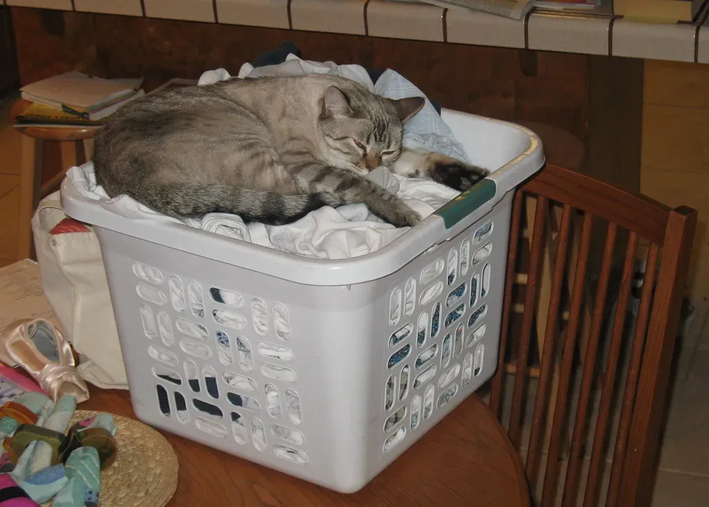 12. Laundry Baskets: The Textile Jungle Gym (Accretion Disc, Flickr, CC BY 2.0)