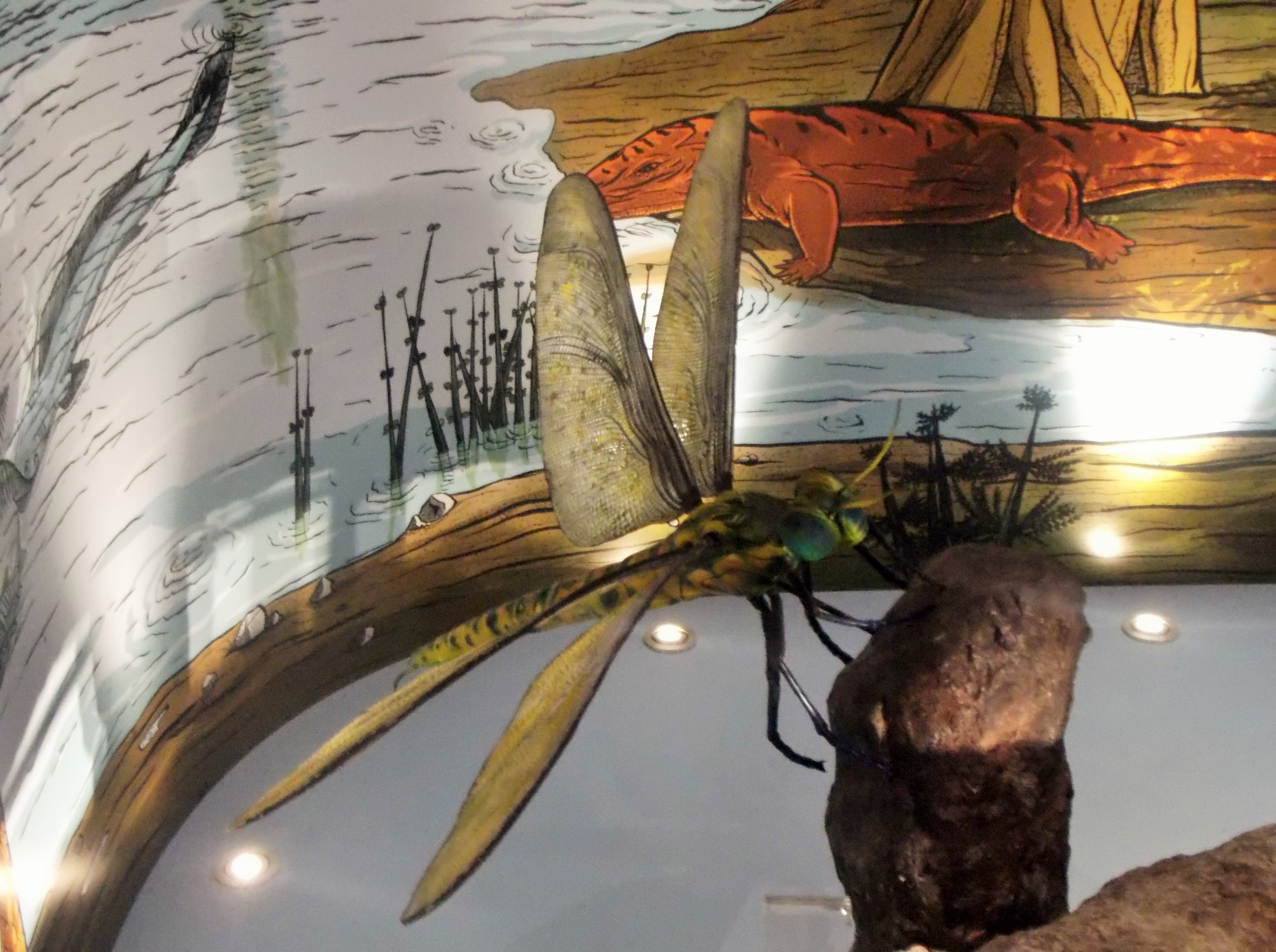 Conclusion (Image Credits: Wikimedia)