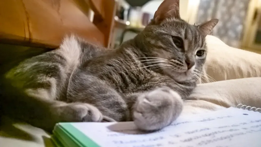 Emotional Radar: Reading Your Mood Better Than You Think (Image Credits: Unsplash)